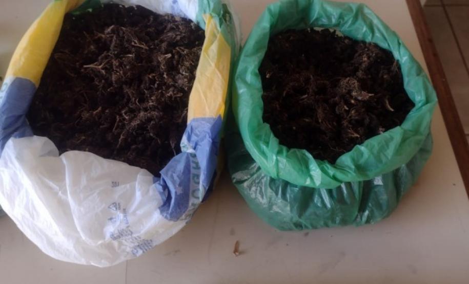 Polícia Militar do Paraná apreende 1,6 quilos de maconha em ação na Zona Norte de Londrina