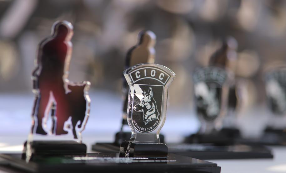 O curso, que teve início em 5 de maio e se estendeu até 11 de junho de 2025, totalizou cerca de 315 horas de instruções teóricas e práticas