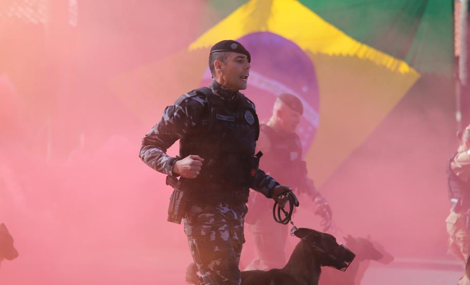 O curso, que teve início em 5 de maio e se estendeu até 11 de junho de 2025, totalizou cerca de 315 horas de instruções teóricas e práticas