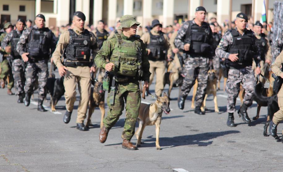 O curso, que teve início em 5 de maio e se estendeu até 11 de junho de 2025, totalizou cerca de 315 horas de instruções teóricas e práticas