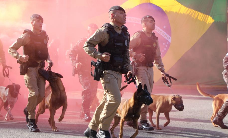 O curso, que teve início em 5 de maio e se estendeu até 11 de junho de 2025, totalizou cerca de 315 horas de instruções teóricas e práticas