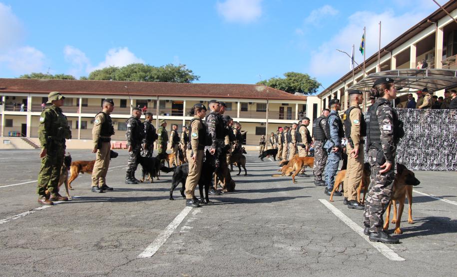 O curso, que teve início em 5 de maio e se estendeu até 11 de junho de 2025, totalizou cerca de 315 horas de instruções teóricas e práticas