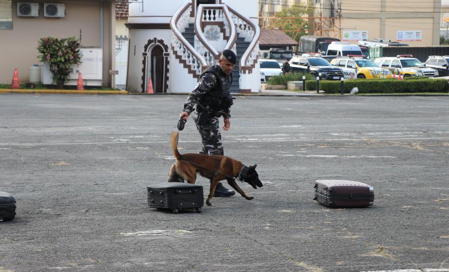 O curso, que teve início em 5 de maio e se estendeu até 11 de junho de 2025, totalizou cerca de 315 horas de instruções teóricas e práticas