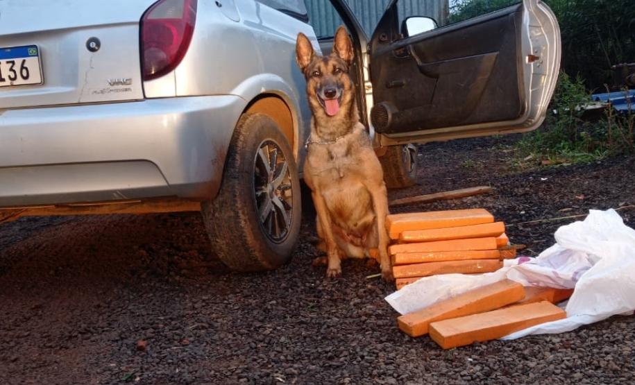 Polícia Militar do Paraná realiza ações de combate ao crime nas rodovias estaduais durante o final de semana