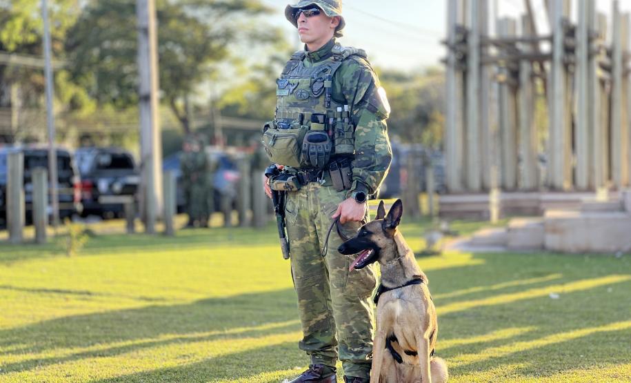 Atuação conta com drones, cães e helicópteros para ampliar a presença policial
