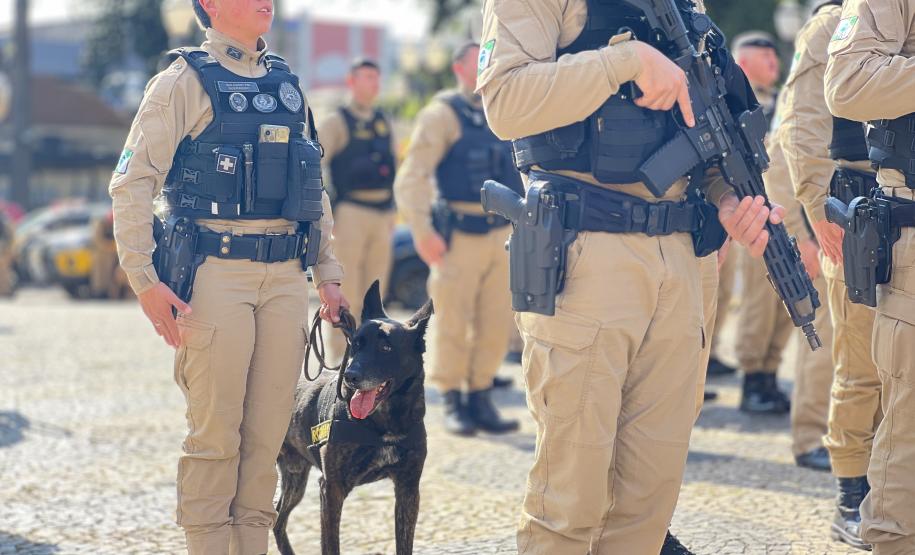 No quarto dia de ações, força-tarefa concentra esforços em Francisco Beltrão; lançamento regional ocorreu nesta sexta-feira com apoio das autoridades locais