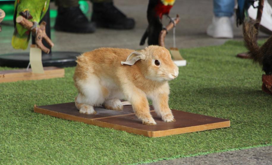 Exposição "Exemplos que Arrastam" da PMPR chega ao Shopping Estação