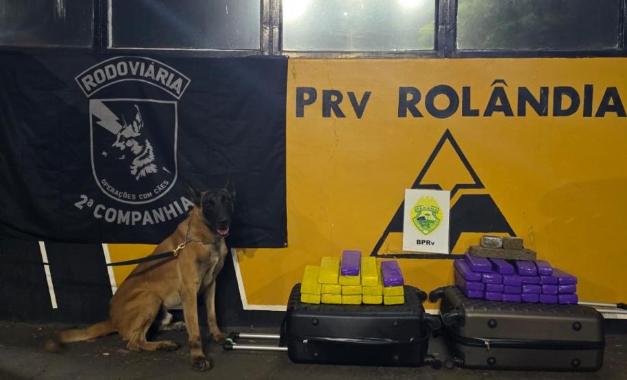 PMPR apreende 25 quilos de maconha em ônibus na cidade de Rolândia