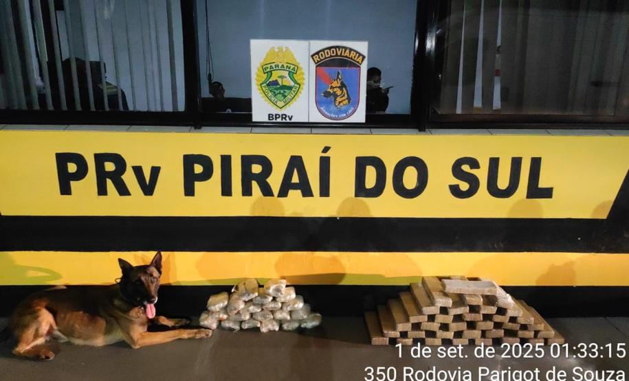 PMPR apreende entorpecentes em diferentes ônibus que seguiam para fora do Paraná