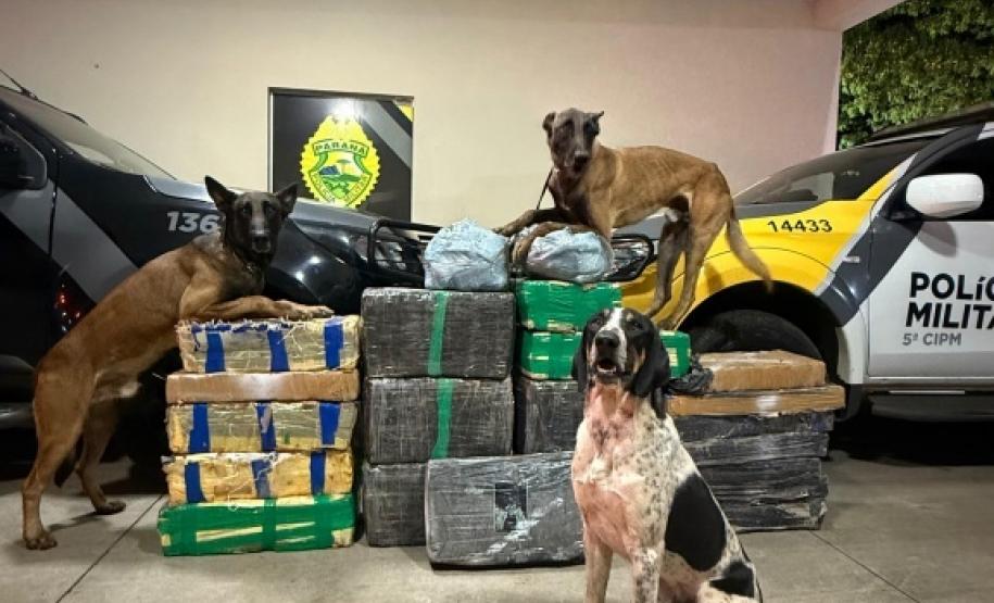 PMPR recupera veículo roubado e apreende mais de 340 quilos de maconha em Jussara