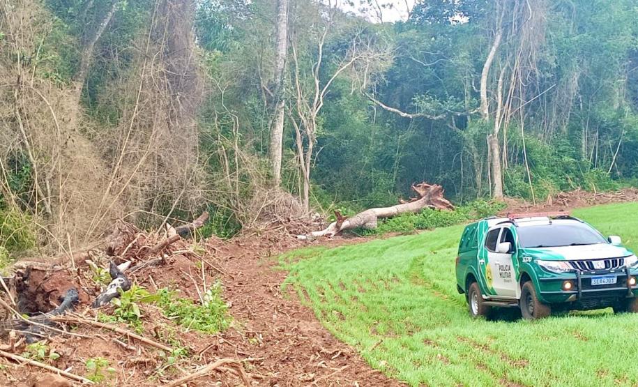Operação Mata Atlântica em Pé: PMPR aplica mais de R$ 19 milhões em multas