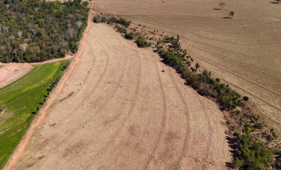 Operação Mata Atlântica em Pé: PMPR aplica mais de R$ 19 milhões em multas