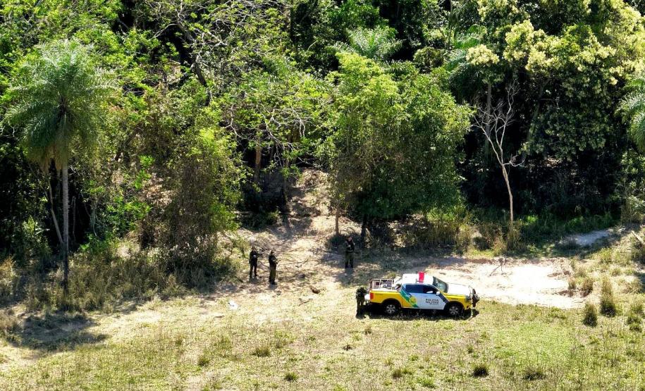 Operação Mata Atlântica em Pé: PMPR aplica mais de R$ 19 milhões em multas