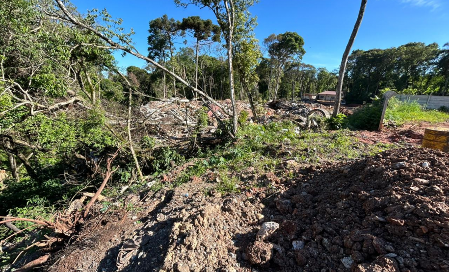 PMPR flagra desmatamento e loteamento irregular de terrenos no Ganchinho, em Curitiba