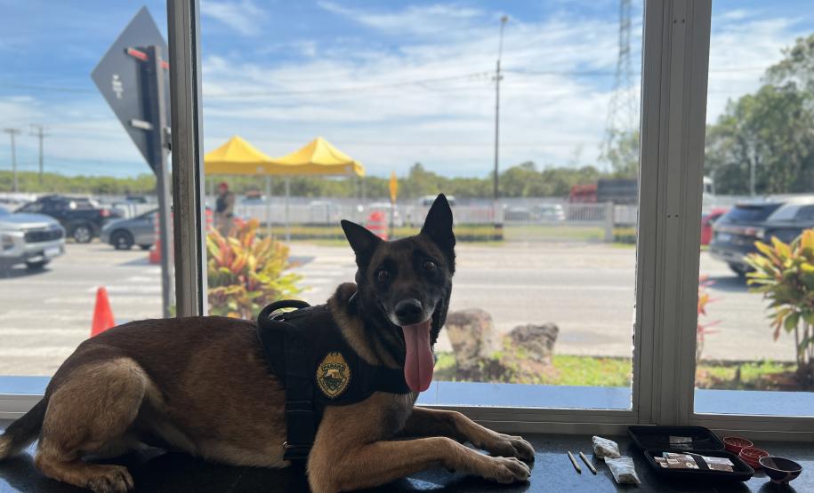 O objetivo maior de preservar vidas e garantir que os cidadãos possam se deslocar com segurança durante as festividades de fim de ano