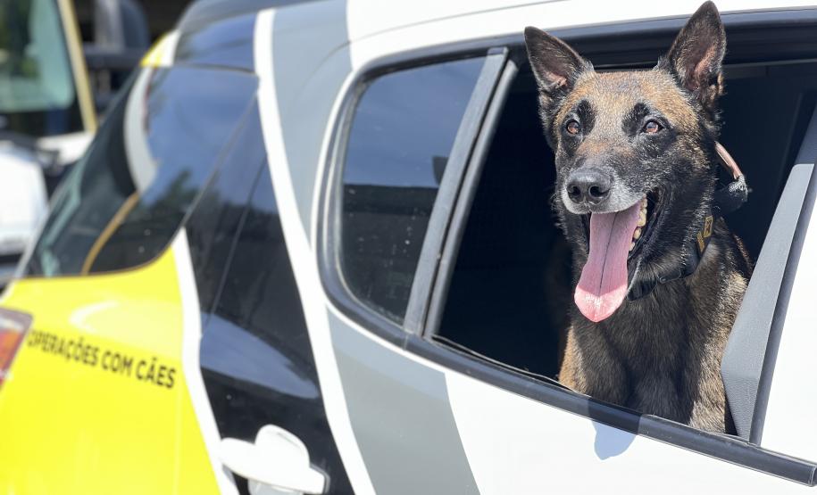 O objetivo maior de preservar vidas e garantir que os cidadãos possam se deslocar com segurança durante as festividades de fim de ano