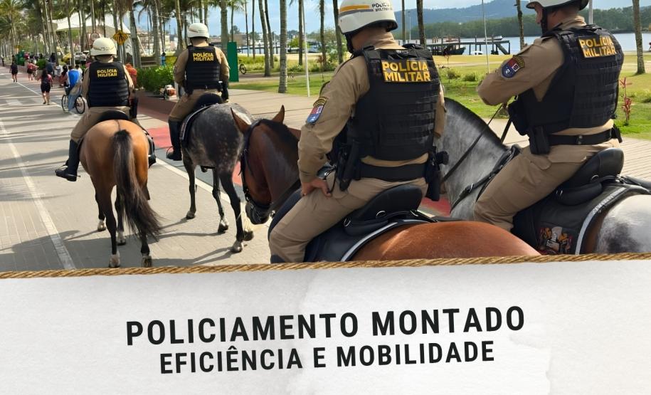 Ao longo de toda a operação, o informativo seguirá com divulgação semanal, destacando o trabalho técnico, humano e profissional dos homens e mulheres da PMPR