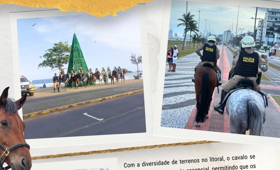 Ao longo de toda a operação, o informativo seguirá com divulgação semanal, destacando o trabalho técnico, humano e profissional dos homens e mulheres da PMPR