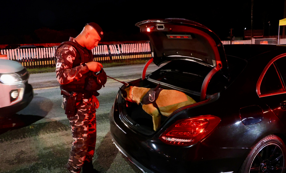 PMPR promove fiscalização integrada com apoio de cães em rodovias do Litoral