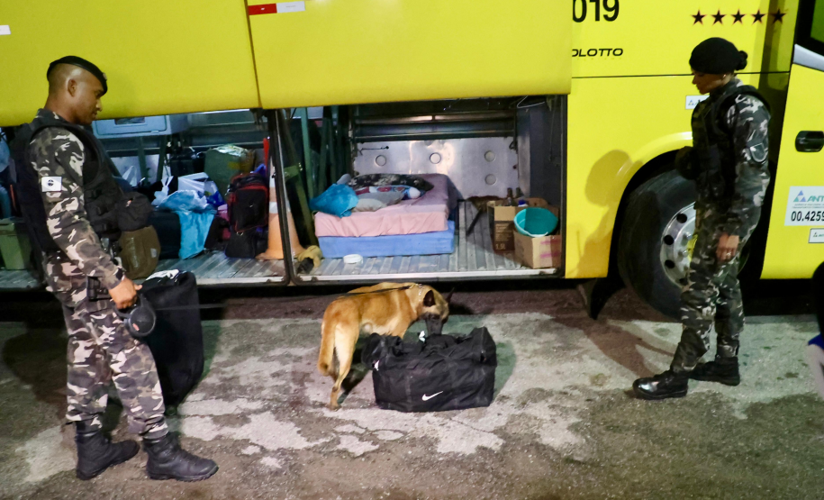 PMPR promove fiscalização integrada com apoio de cães em rodovias do Litoral