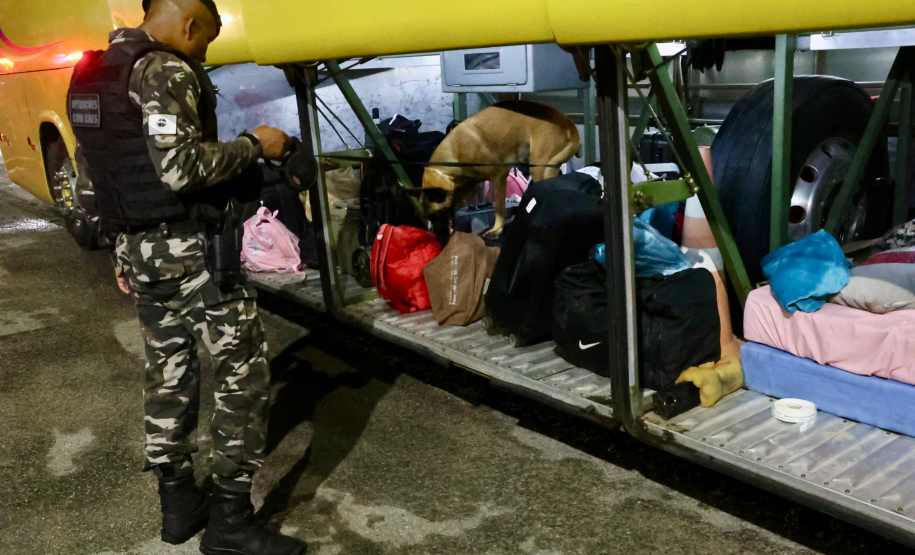 PMPR promove fiscalização integrada com apoio de cães em rodovias do Litoral