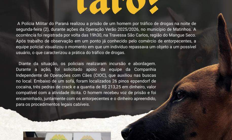 Com periodicidade semanal ao longo de toda a operação, o informativo tem como propósito ampliar a divulgação das ações realizadas pelas unidades operacionais, além de apresentar as ocorrências de maior relevância registradas durante o período.