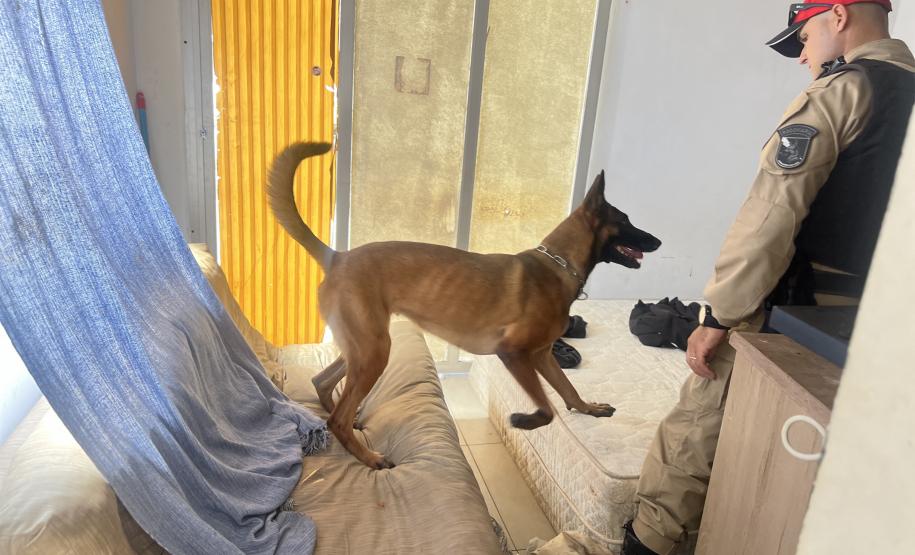 O objetivo principal foi desarticular pontos de tráfico no bairro Tabuleiro