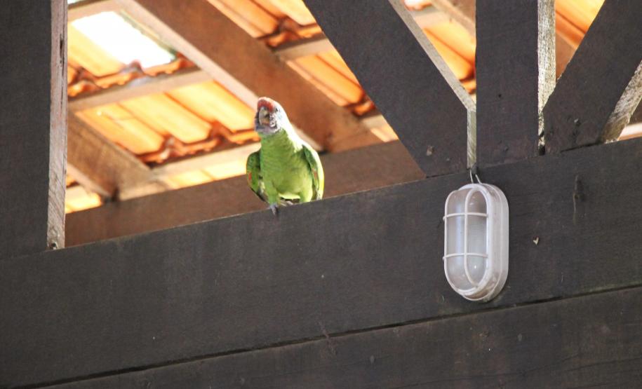Banda da PMPR encanta público em apresentação inédita na Ilha do Mel
