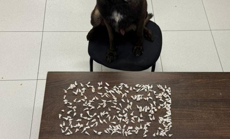 Ação integrada da PMPR resulta na prisão de cinco suspeitos e apreensão de drogas em Matinhos