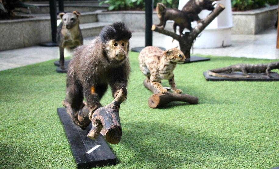 PMPR e Forças de Segurança Intensificam Ações de Proteção à Mulher durante evento da SESP no Shopping Estação