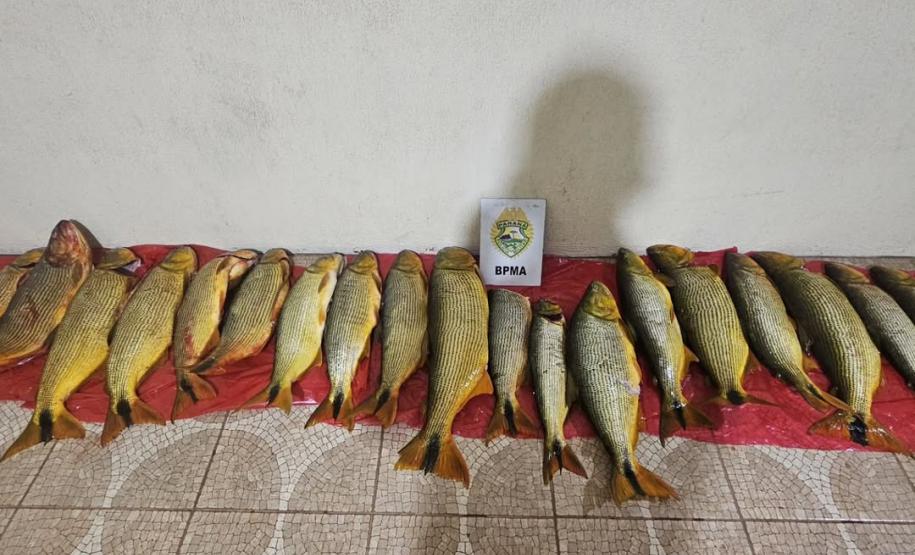 PMPR prende seis pessoas em Pinhão e apreende 92,6 kg de dourado, embarcações e arma de fogo em área proibida