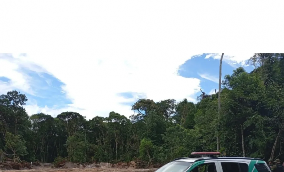 PMPR autua 14 pessoas por desmatamento irregular em área de vegetação nativa