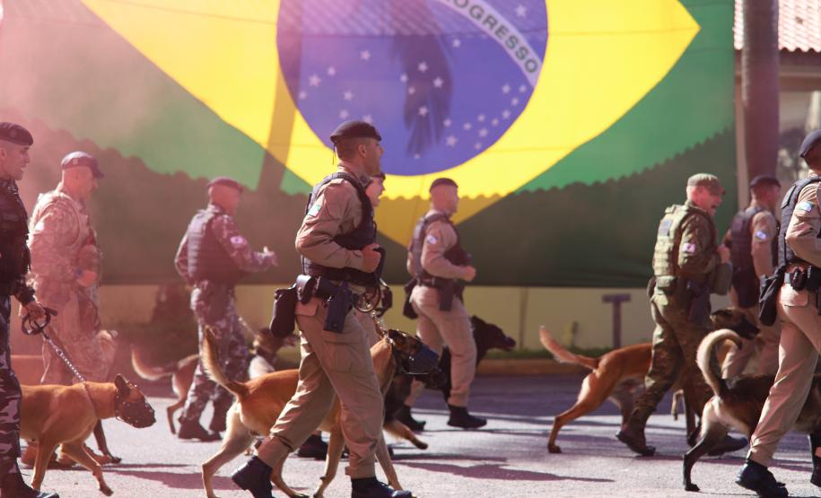 PMPR forma novos policiais especializados no uso de cães e reforça atuação no combate ao crime no Estado