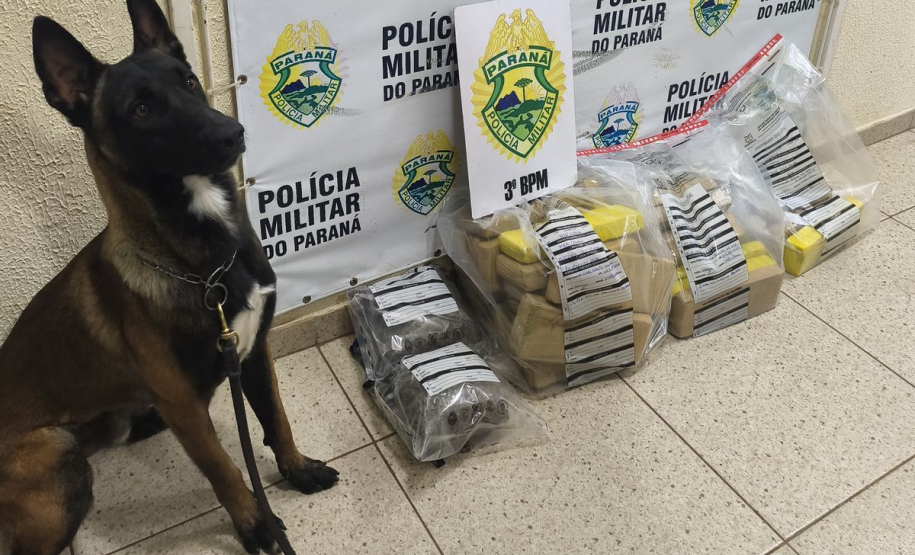 PMPR apreende mais de 29 quilos de maconha e prende três por tráfico em Pato Branco