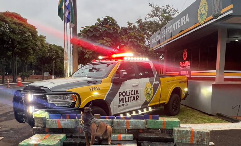 PMPR e forças integradas apreendem quase três toneladas de drogas em operações no Oeste do Estado