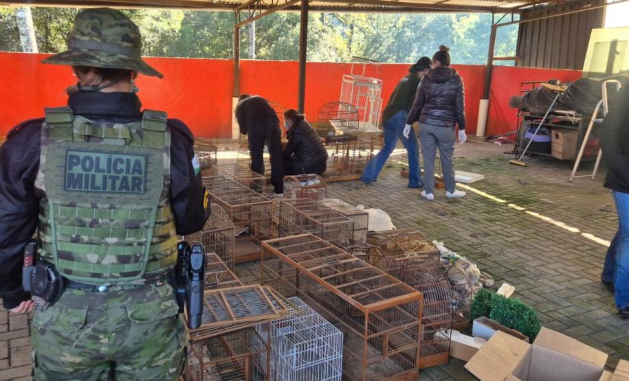 PMPR e IAT apreendem 95 aves e aplicam mais de R$ 400 mil em multas durante operação em Guarapuava