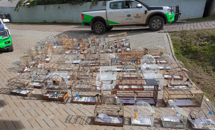 PMPR e IAT apreendem 95 aves e aplicam mais de R$ 400 mil em multas durante operação em Guarapuava
