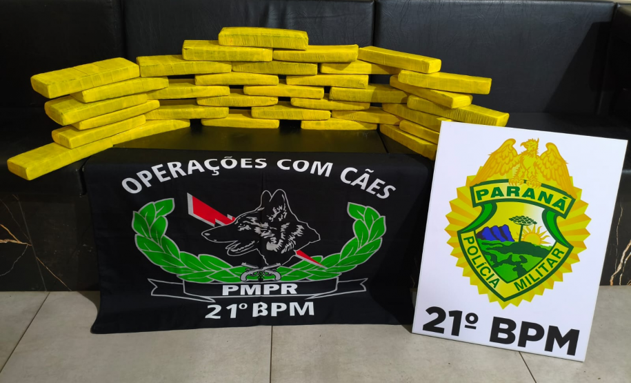 PMPR apreende mais de 25 quilos de maconha em ônibus interestadual em Francisco Beltrão