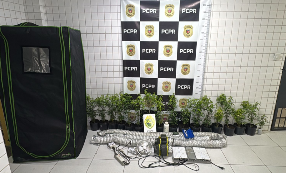 PMPR localiza laboratório de cultivo de maconha em Matinhos