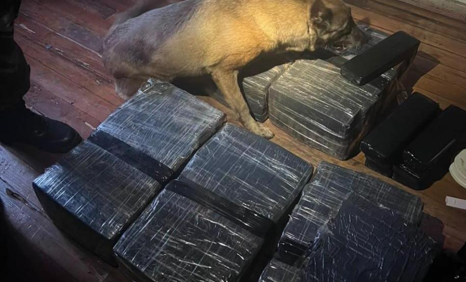 PMPR e PCPR prendem oito pessoas e apreendem mais de 120 quilos de drogas em Cascavel