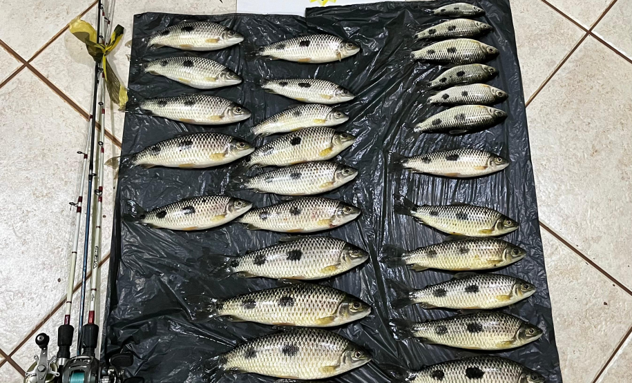 PMPR prende dois homens por pesca irregular no Rio Paraná, em Icaraíma
