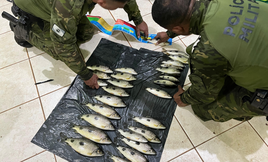 PMPR prende dois homens por pesca irregular no Rio Paraná, em Icaraíma