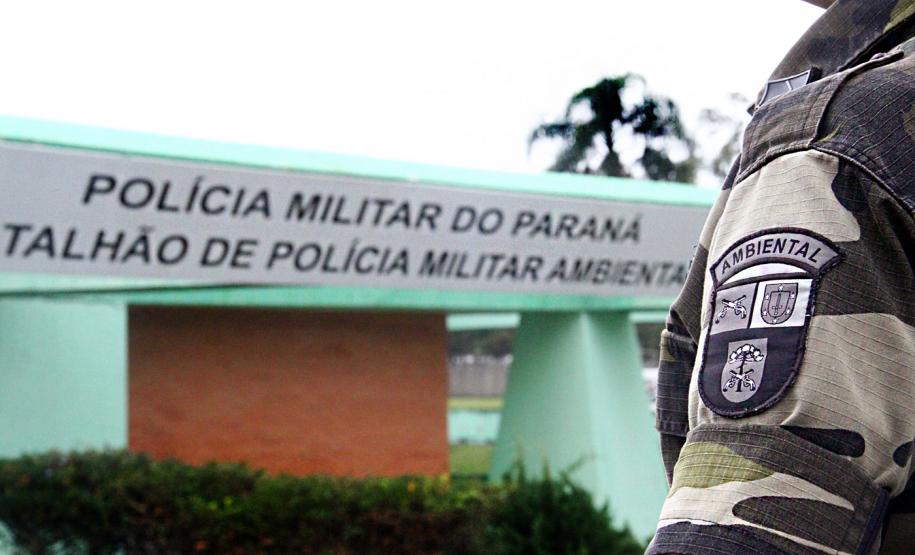 Pássaros silvestres mantidos em cativeiro são libertados por policiais ambientais no Litoral do estado