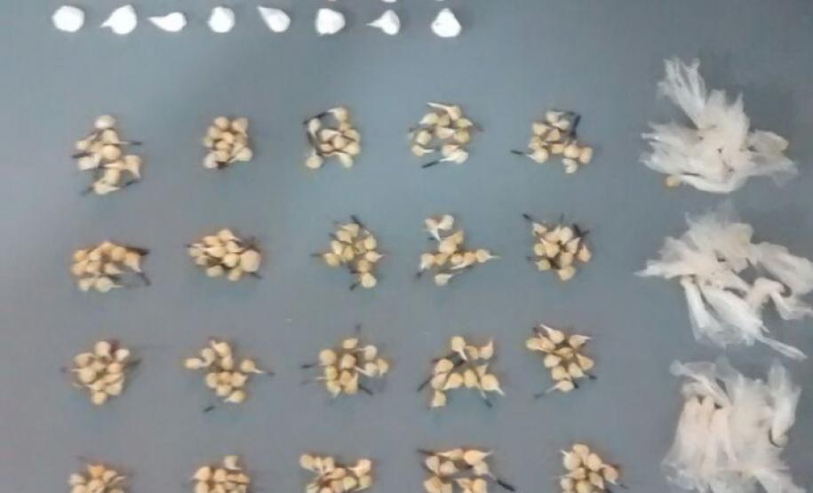 Mais de R$ 20 mil em drogas são apreendidas pela PM em Guaratuba; cinco são encaminhados