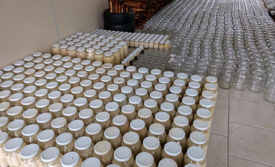 Maior apreensão de palmito dos últimos anos é feita pelo Batalhão de Polícia Ambiental em Adrianópolis