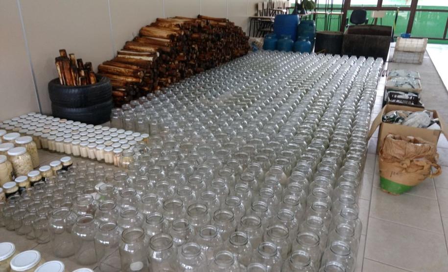 Maior apreensão de palmito dos últimos anos é feita pelo Batalhão de Polícia Ambiental em Adrianópolis