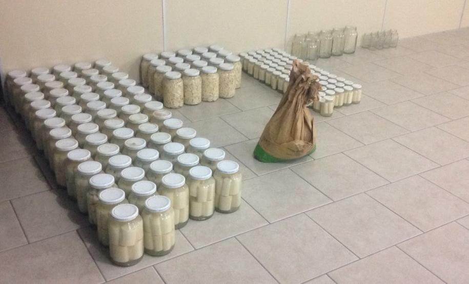 Maior apreensão de palmito dos últimos anos é feita pelo Batalhão de Polícia Ambiental em Adrianópolis