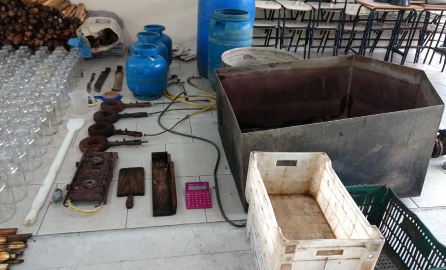 Maior apreensão de palmito dos últimos anos é feita pelo Batalhão de Polícia Ambiental em Adrianópolis