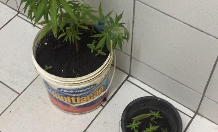 Atuação preventiva da PM contra o tráfico de drogas resulta em dois presos e drogas apreendidas em Guaratuba Atuação preventiva da PM contra o tráfico de drogas resulta em dois presos e drogas apreendidas em Guaratuba