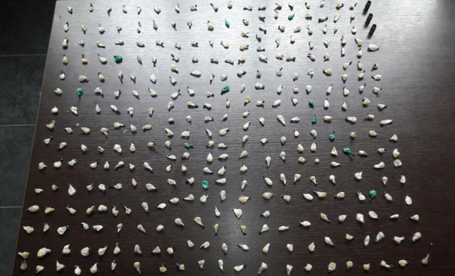 Polícia Militar apreende 330 pedras de crack e recupera veículo durante abordagem em São José dos Pinhais